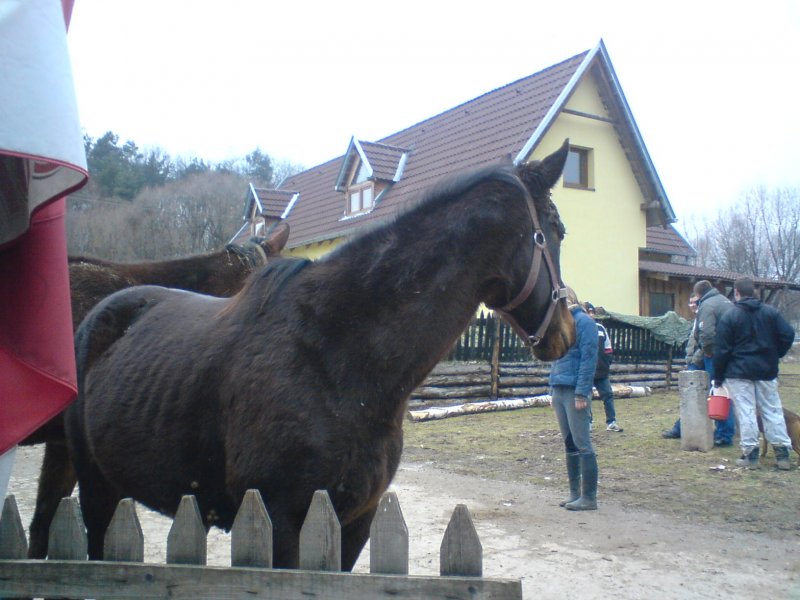DSC00876.JPG